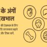 शरीर के अंगों की देखभाल – स्वस्थ जीवन के लिए जरूरी टिप्स"