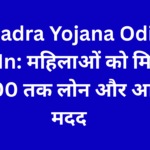 Subhadra Yojana Odisha Gov In: महिलाओं को मिलेगा 50,000 तक लोन और आर्थिक मदद