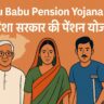 Madhu Babu Pension Yojana 2025  ओडिशा सरकार की पेंशन योजना”